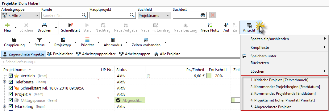 filter_und_gruppierungmoeglichkeiten_ansichtsvorlagen