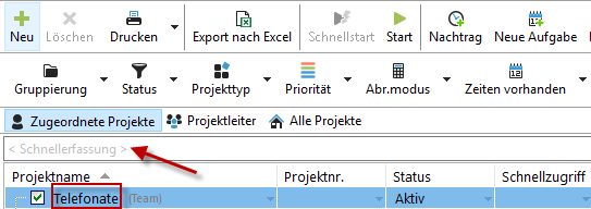 einführung_neue_projekte_projekteigenschaften_schnellerfassung
