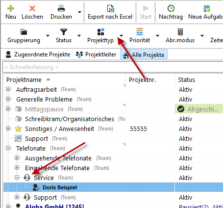 einführung_neue_projekte_projekteigenschaften_projekttyp_filterfunktion