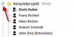 projekt_teamuebersicht