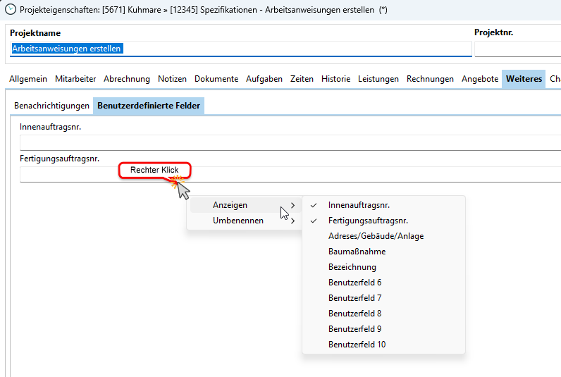 projekteigenschaften_reiter_weiteres_benutzerdefinierte_felder