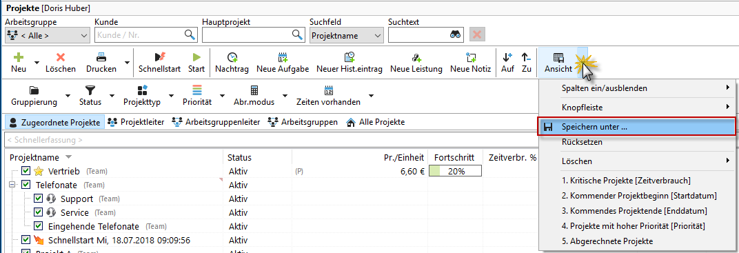 projektmanager_ansicht_speichern