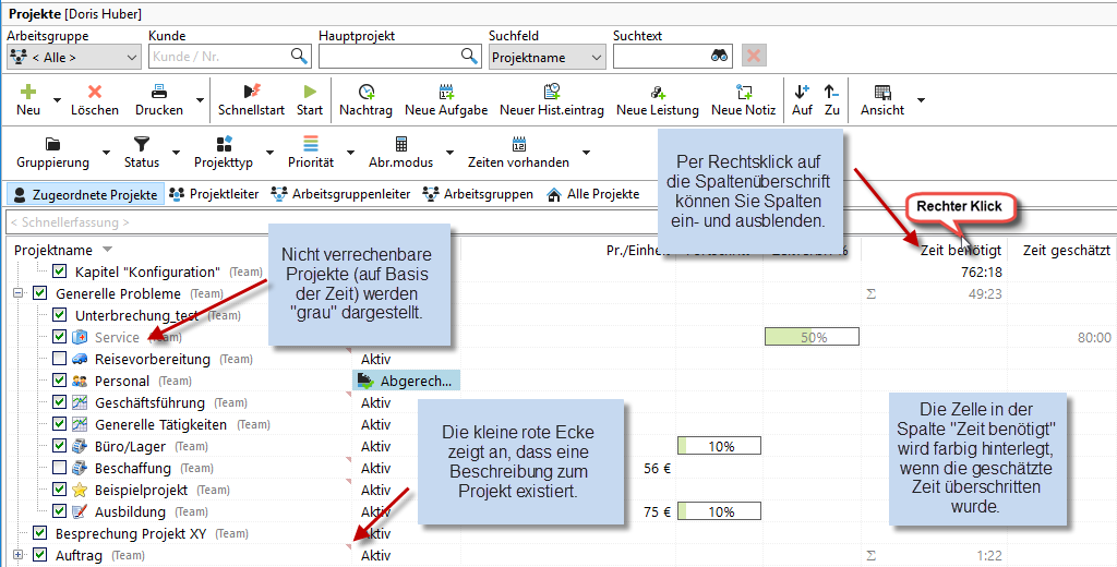 projektmanager_uebersicht
