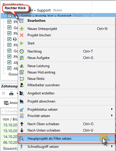 projektsuche_hauptprojekt_als_filter_setzen
