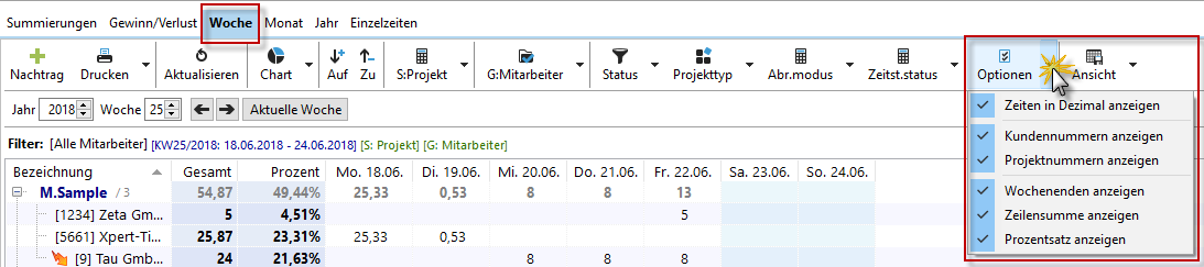 wochenansicht_menuepunkt_optionen