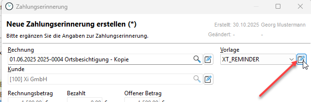 zahlungserinnerung-report-anpassen